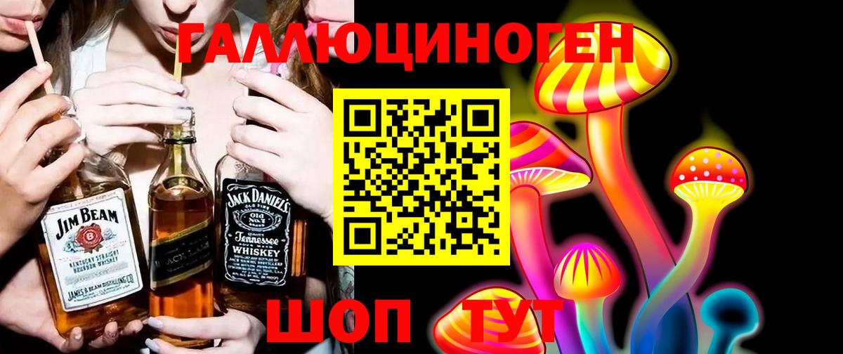 Солнечногорск  Псилоцибиновые грибы Psilocybe  Вход с VPN 